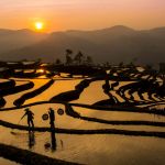Shawn Talbot Kelowna Commercial Photographer China Longsheng Rice Terrace