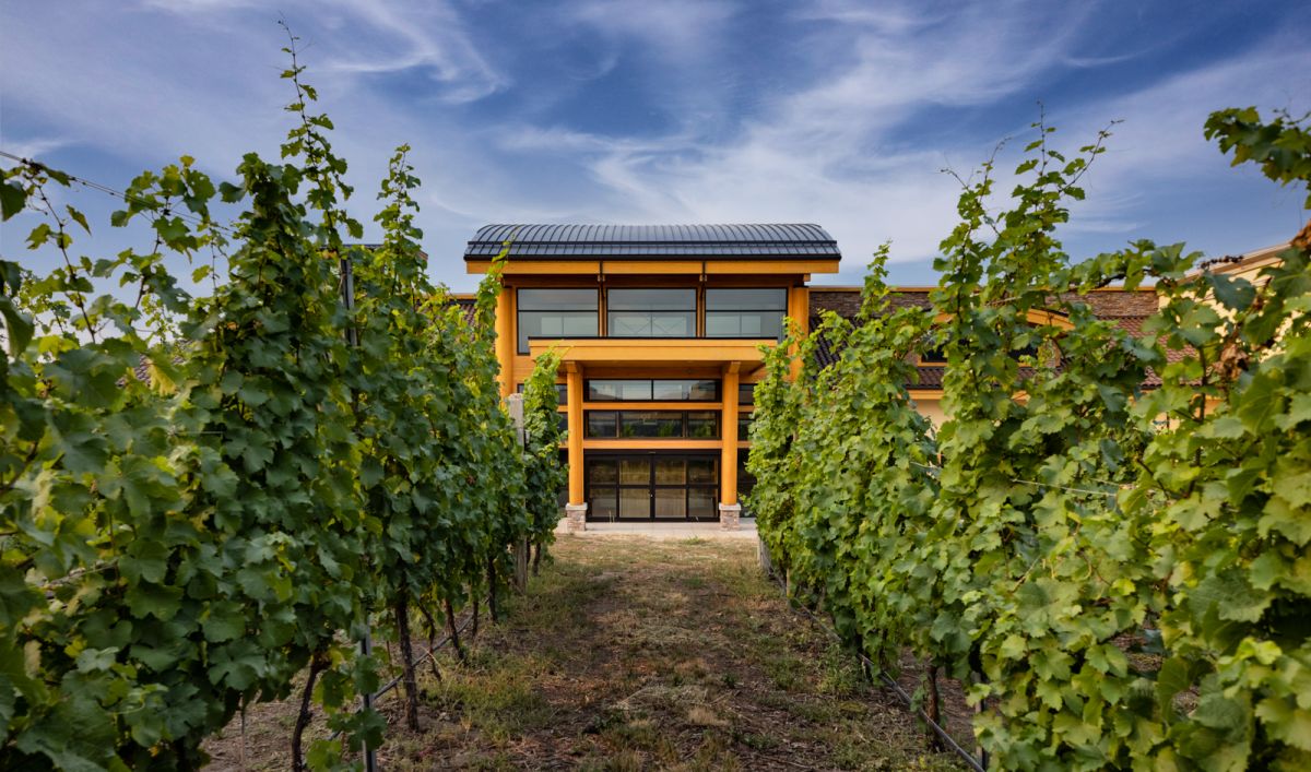 Grizzli Winery architectural exterior of wine shop through vineyard